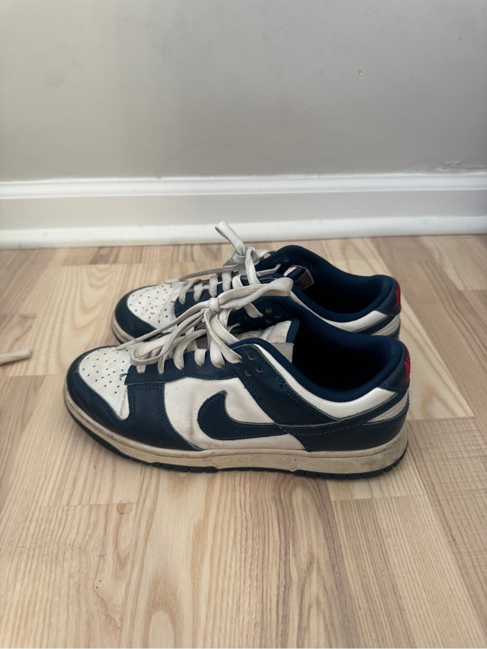 Nike dunks (men’s 7 womens 8.5)